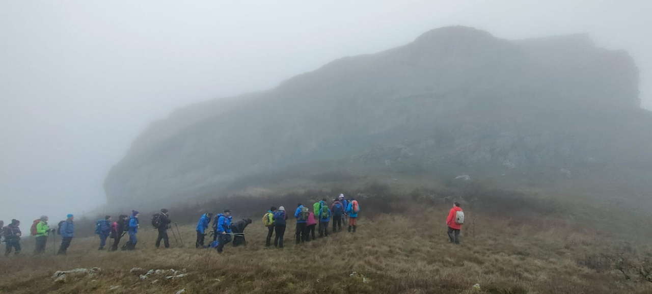 WhatsApp Image 2026-02-10 at 14.47.42